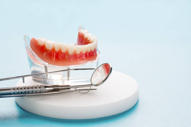 Best Preventive Dentistry  in Weston, NJ